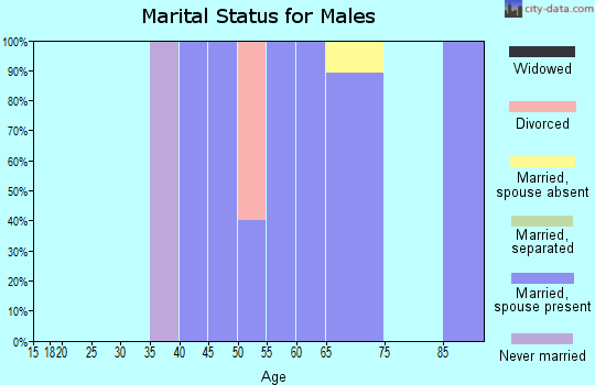 Zip code 80830 marital status for males