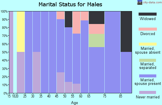 Zip code 80832 marital status for males