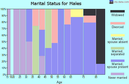 Zip code 80833 marital status for males