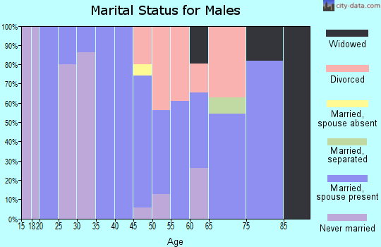 Zip code 80860 marital status for males