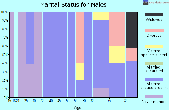 Zip code 80861 marital status for males