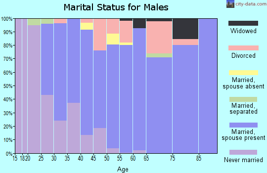 Zip code 80863 marital status for males
