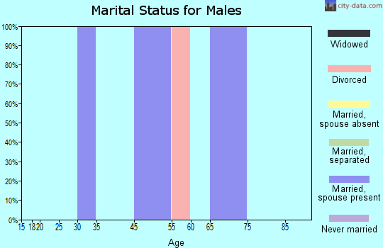 Zip code 80866 marital status for males