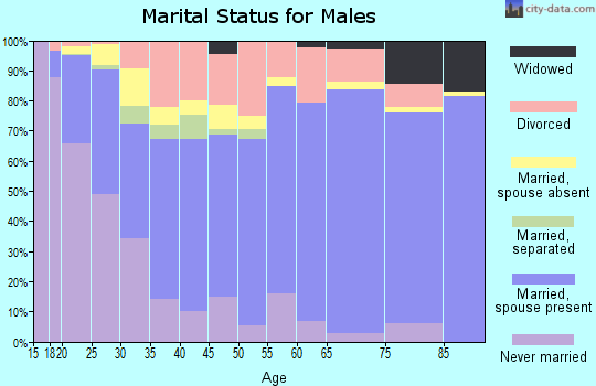 Zip code 80906 marital status for males