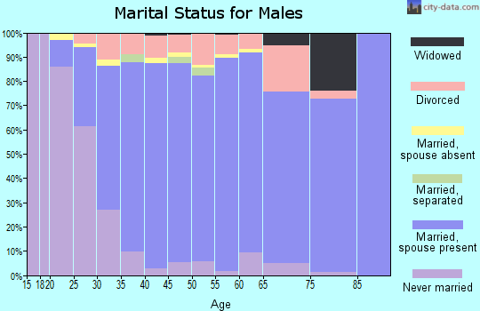 Zip code 80920 marital status for males