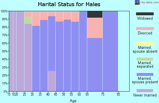 Zip code 80928 marital status for males