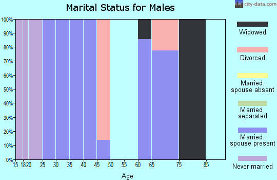 Zip code 80930 marital status for males