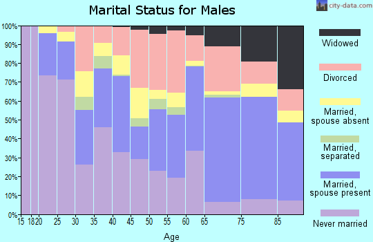 Zip code 81003 marital status for males