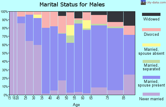 Zip code 81006 marital status for males