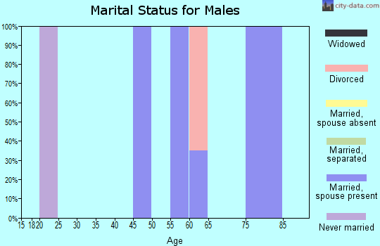 Zip code 81024 marital status for males