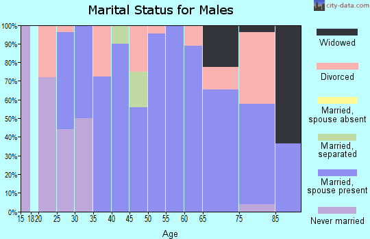 Zip code 81036 marital status for males