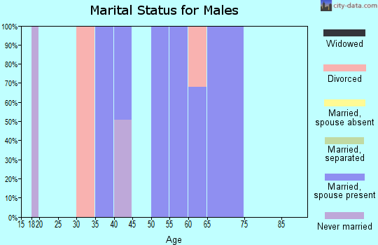 Zip code 81040 marital status for males
