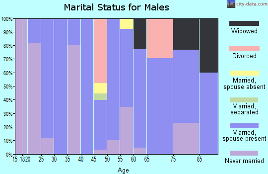 Zip code 81041 marital status for males