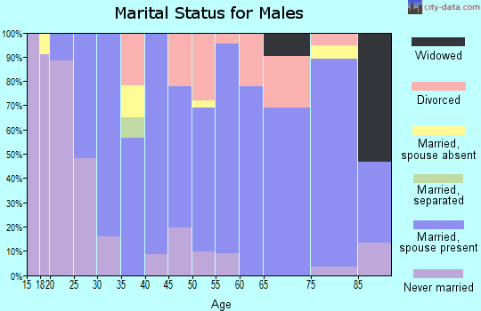 Zip code 81047 marital status for males