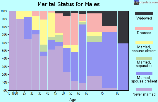 Zip code 81054 marital status for males