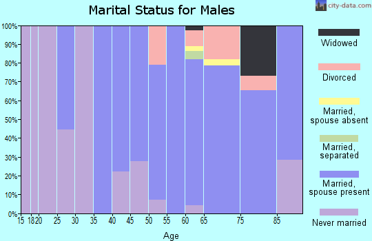 Zip code 81055 marital status for males