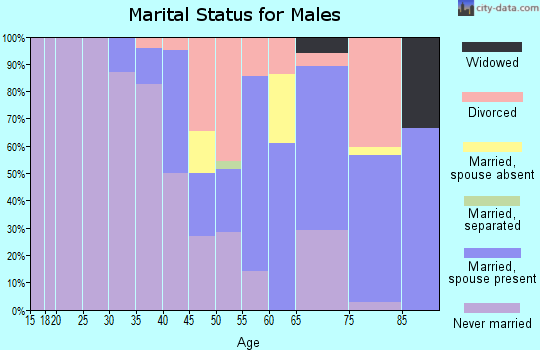 Zip code 81058 marital status for males