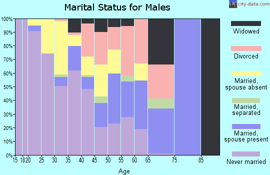 Zip code 81063 marital status for males