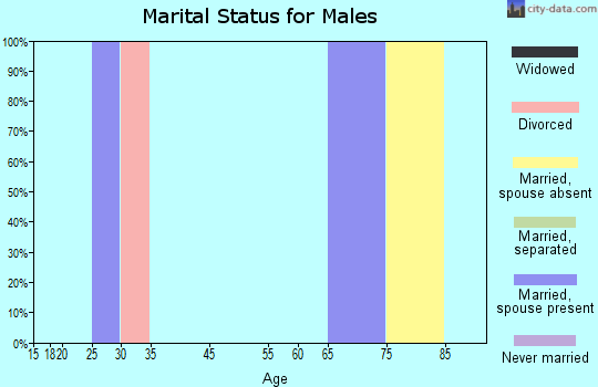 Zip code 81066 marital status for males