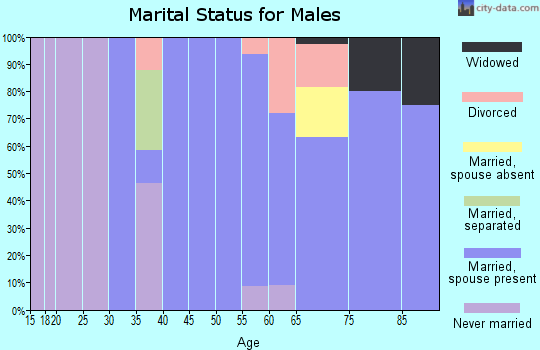 Zip code 81069 marital status for males