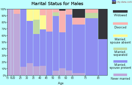 Zip code 81073 marital status for males