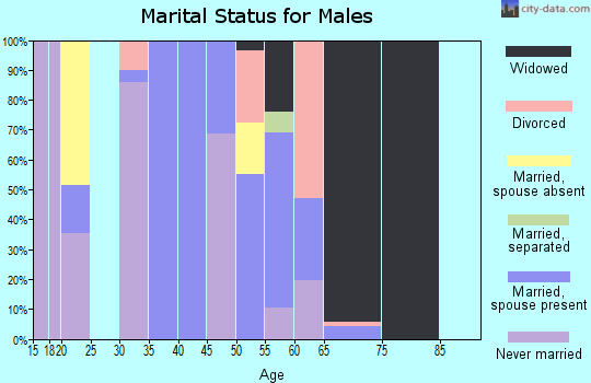 Zip code 81076 marital status for males