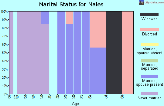 Zip code 81077 marital status for males