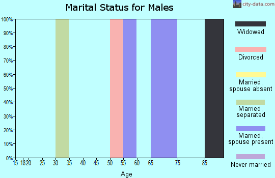 Zip code 81081 marital status for males