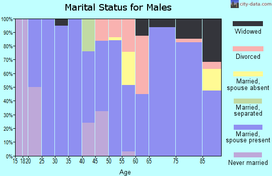 Zip code 81090 marital status for males
