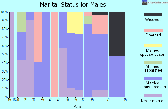 Zip code 81091 marital status for males