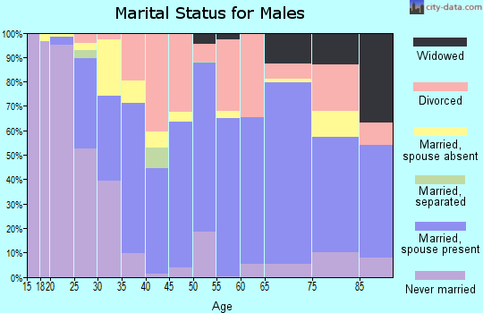 Zip code 81101 marital status for males