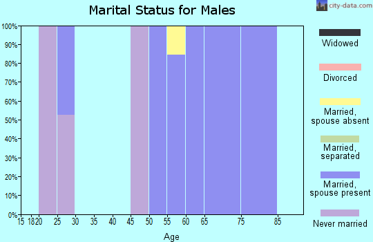 Zip code 81121 marital status for males