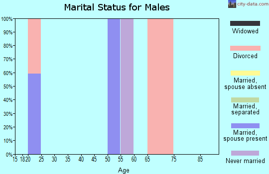 Zip code 81124 marital status for males
