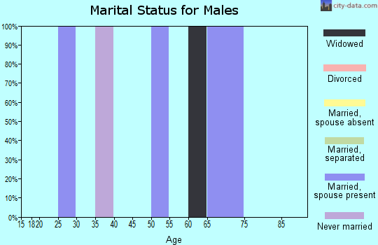 Zip code 81128 marital status for males