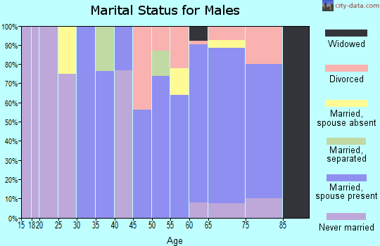 Zip code 81130 marital status for males
