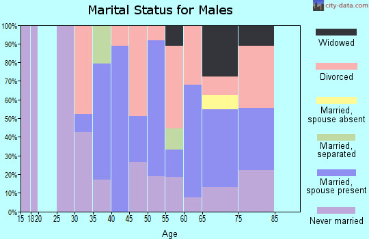 Zip code 81131 marital status for males