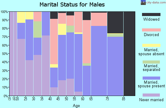 Zip code 81132 marital status for males