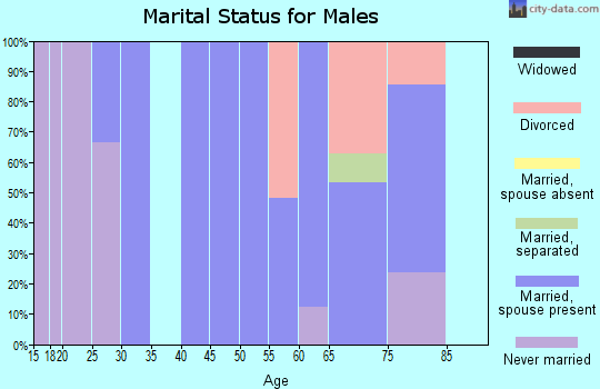 Zip code 81133 marital status for males