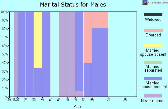 Zip code 81136 marital status for males