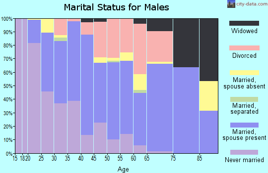 Zip code 81137 marital status for males