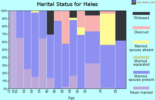 Zip code 81140 marital status for males