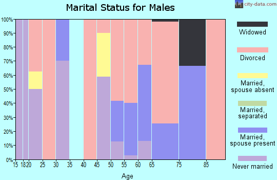 Zip code 81143 marital status for males