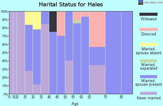 Zip code 81146 marital status for males