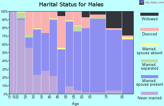 Zip code 81147 marital status for males