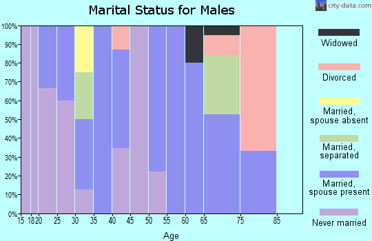 Zip code 81148 marital status for males