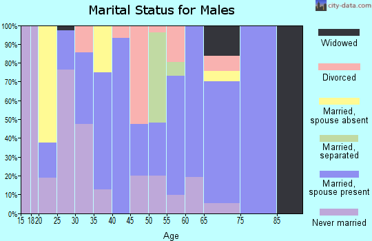 Zip code 81149 marital status for males