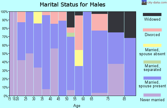 Zip code 81151 marital status for males