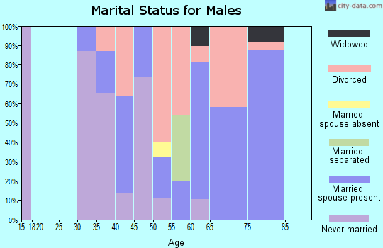 Zip code 81152 marital status for males