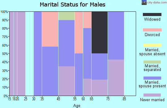 Zip code 81153 marital status for males