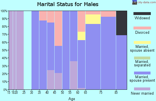 Zip code 81154 marital status for males